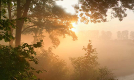 4646 Doorwerth ochtendlicht Hollandse landschappen