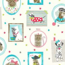 Imagine fun honden, poesen behang met glitters 668400