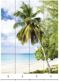 Fotobehang NW 47269 Palmboom op het strand