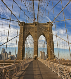 Dimex fotobehang Brooklyn bridge 0005