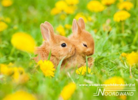 Rabbit Field 3750017 Farm Life konijn