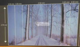 9836 Winterochtend II Hollandse landschappen