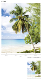 Fotobehang NW 47269 Palmboom op het strand