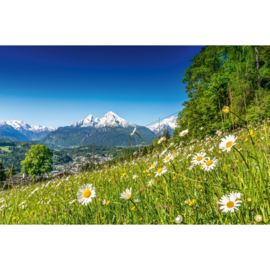 Dimex fotobehang Alpen landschap MS-5-1302