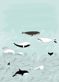 OnsZelf Stories 842500 walvissen blauw