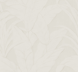 Arte Monsoon 75001A Musa