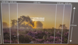 8648 Planken Wambuis II Hollandse landschappen