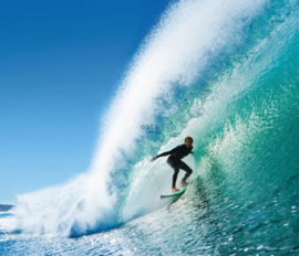 PhotowallXL surfing 158852