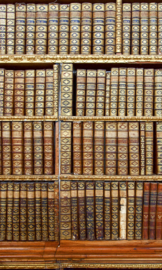 Dimex fotobehang Library 0263 boekenkast