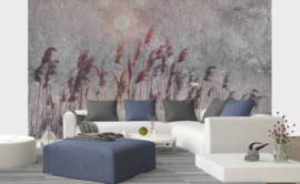 Dimex fotobehang riet 0358