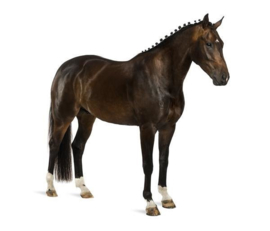 Horse 3750048A - 3750057B Farm Life paard