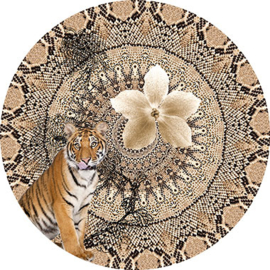 Circle of life TD4212 / TD4213 Mahdi