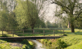 1381 Slenaken Hollandse landschappen