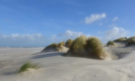 0477 Schiermonnikoog duinen Hollandse landschappen