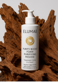 Purity Boost Foam™ Purifying Mousse