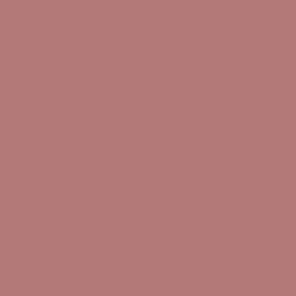 Blush beige rose