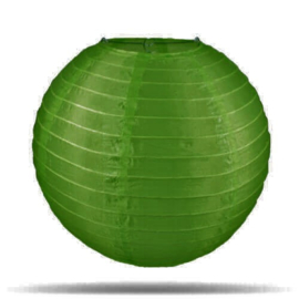 Tuinlampion donker groen 35 cm
