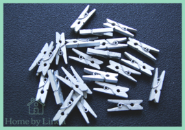 Mini knijpers zilver 2,5 cm (set van 20 stuks)