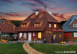 Kibri 38209 - Huis Mühlenweg in het Spreewald inclusief startset huisverlichting (HO)