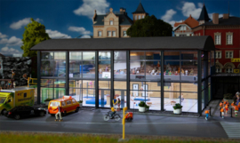 Faller 130613 - Sporthal (HO)