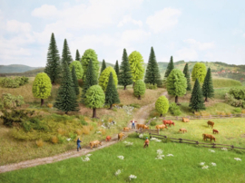 Noch 26811 - Gemengd bos (HO)