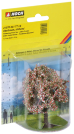 Noch 21570 - fruitboom (HO/N)