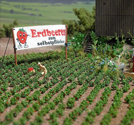 Busch 1265 - Aardbeienplanten (HO)