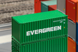 Faller 182004 - 20' Container Evergreen (HO)