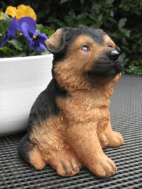 beeldje/asbeeldje/urn Duitse Herder puppy