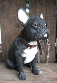 beeldje Franse Bulldog met riem zittend zwart