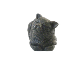 asbeeld/kattenurn Tevreden kat