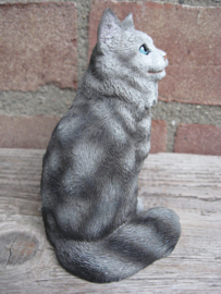 beeldje Maine Coon silver tabby