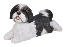 beeld/asbeeld/urn Shih Tzu wit-zwart | 35 cm