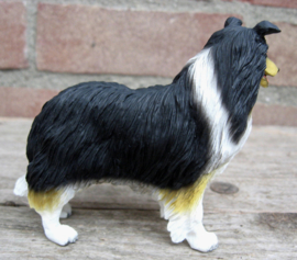 beeldje Schotse Collie tricolour