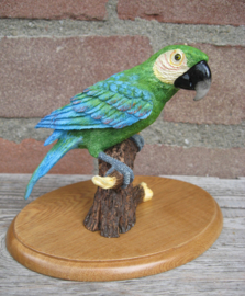 beeldje papegaai Ara groen-blauw