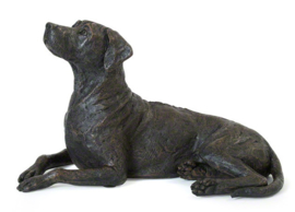 asbeeld/urn Rhodesian Ridgeback | 43 cm