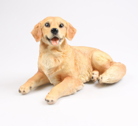 beeld/asbeeld/urn Golden Retriever 44 cm