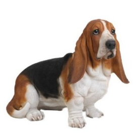 beeld/asbeeld/urn Basset hound | 53 cm