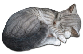 beeld/asbeeld/urn Kat slapend grijs