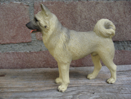 beeldje Akita fawn