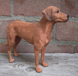 beeldje Rhodesian Ridgeback