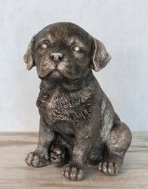 asbeeldje/urn Labrador puppy