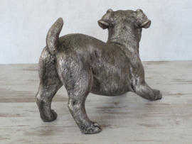 asbeeld/urn Jack Russell Terriër reu | 38 cm