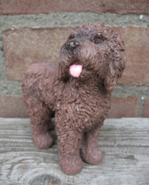 beeldje Labradoodle chocolate