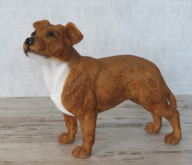 beeldje Staffordshire Bull Terriër bruin
