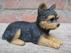 beeldje Yorkshire Terrier puppy