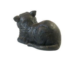 asbeeld/kattenurn Tevreden kat