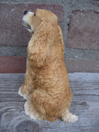 beeldje Amerikaanse Cocker spaniel zittend