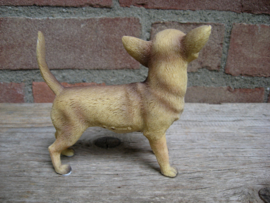 beeldje Chihuahua korthaar staand