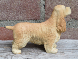 beeldje Engelse Cocker spaniel blond